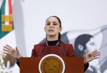 Sheinbaum acusa a Taddei de traicionar la confianza y pide investigar contratos del INE