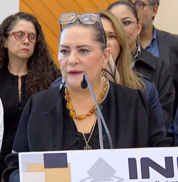 Taddei responde a cuestionamientos por su chofer y niega irregularidades en contratos del INE