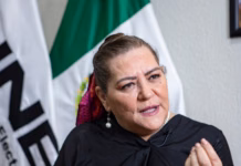 Guadalupe Taddei descarta renunciar a la presidencia del INE
